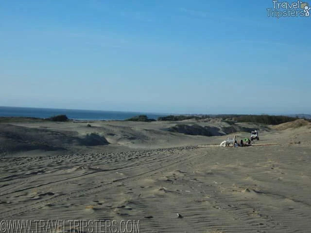 paoay sand dunes