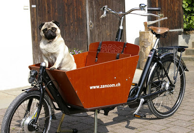 http://2.bp.blogspot.com/-kmvlN9adYv4/UQsQaK7Ur2I/AAAAAAAAA-E/gCh7tsGx-QY/s400/Max-mit-Bakfiets-01.JPG