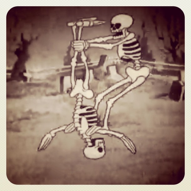 Skeleton Xylophone