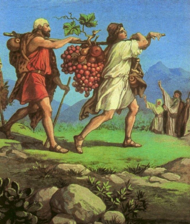 Didactica DESIERTO O CANAAN