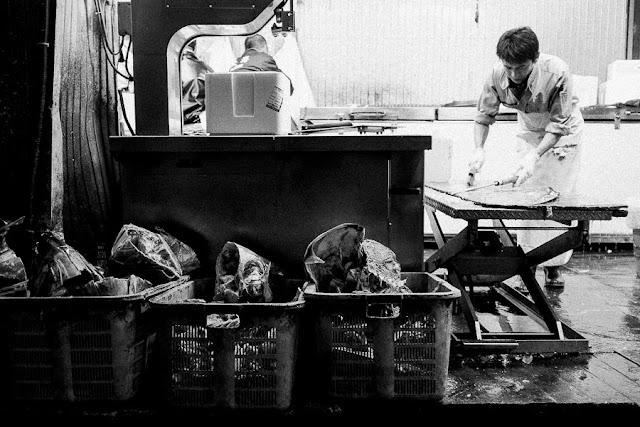 Tsukiji Fish Market Japan Fuji X100S