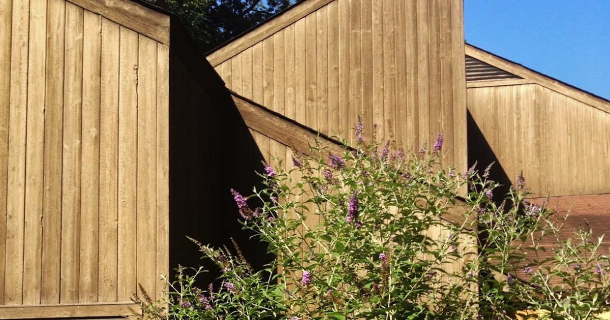 Pure Style Home: The Butterfly Garden