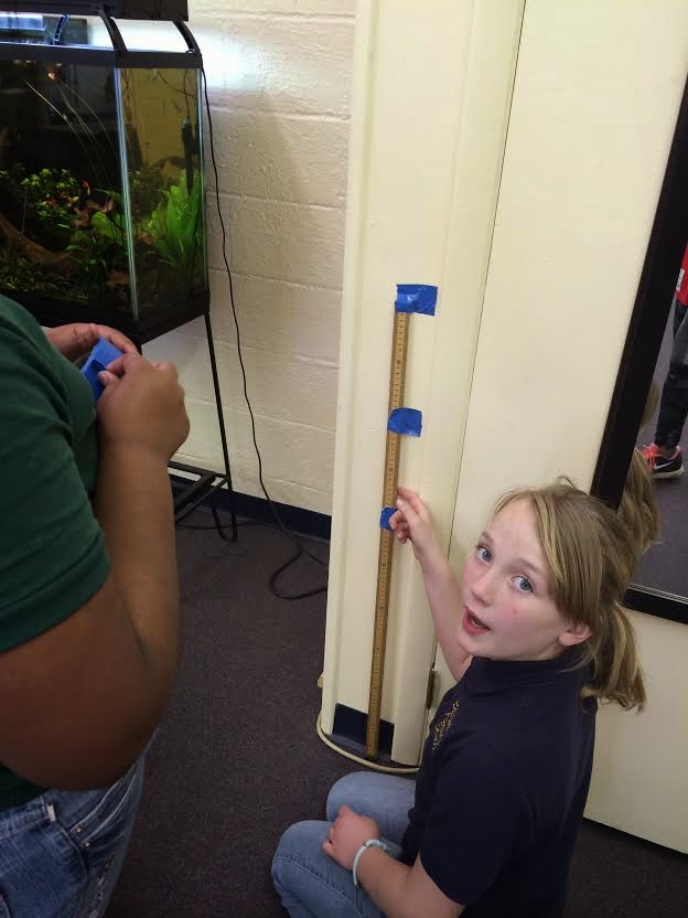 Archimedes Science Camp Bas After School Science Program 3rd 5th