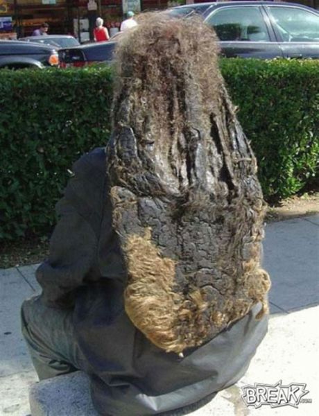 funny pretty and bad dreadlocks