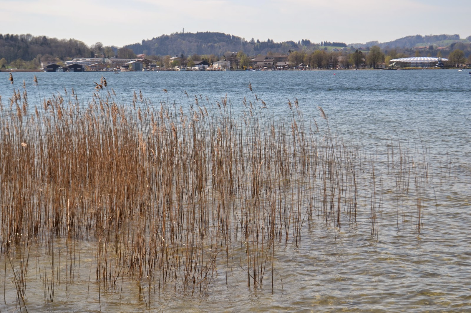 Northwest Ladybug A Day On The Chiemsee Herrenchiemsee Und