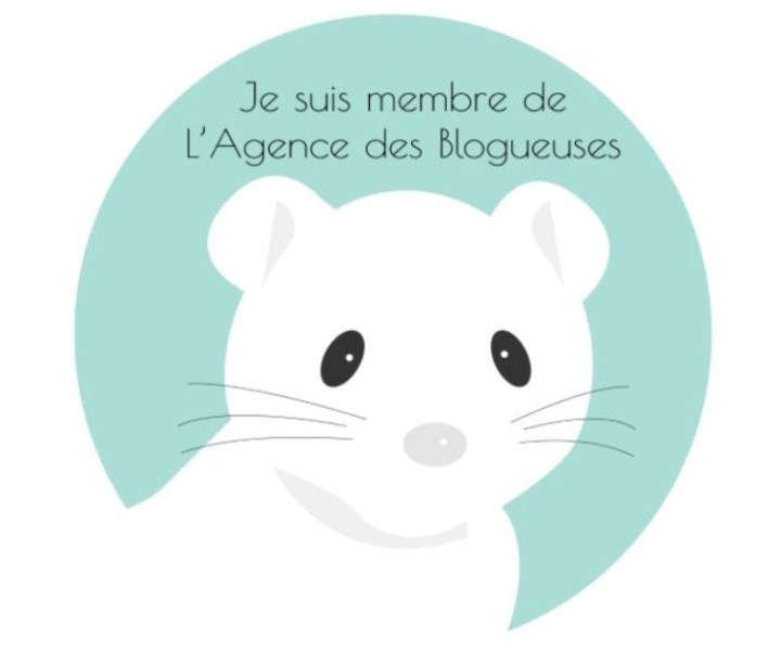 Agence des blogueuses