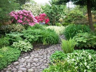 flowers for flower lovers.: Flowers garden designs ideas.