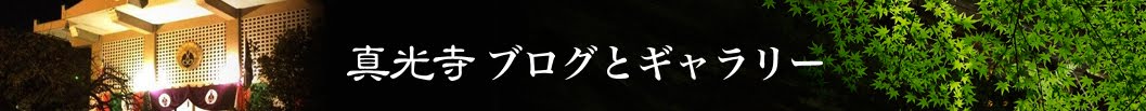 真光寺 ブログとギャラリー | 龍音山真光寺