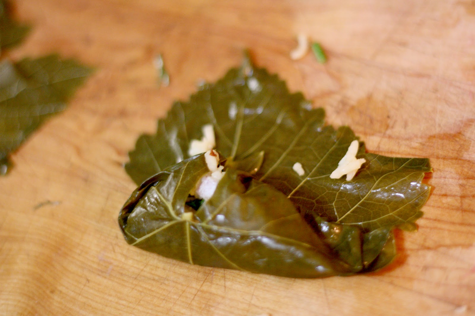 Hojas de parra rellenas (dolmádes) Kuai Nabaida