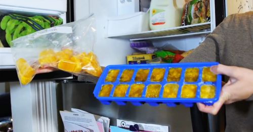 How to Freeze Eggs and Dairy Products