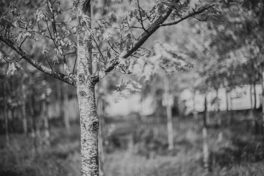 ©estermiriamfotografia