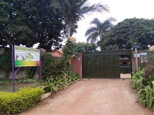 Plush " Gorilla African guest House " in Entebbe.