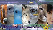 Proyecto Animalidad