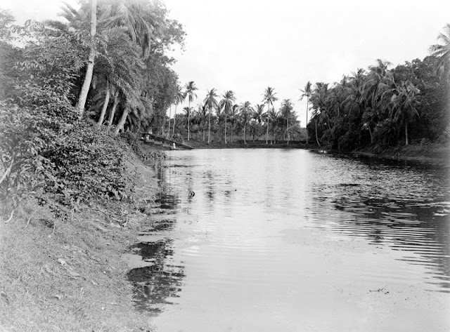 River+or+canal+scene.+Unknown+location+-+Unknown+Location+India+c.1912-1914