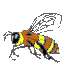 Cara Membuat Lebah Terbang di Blog