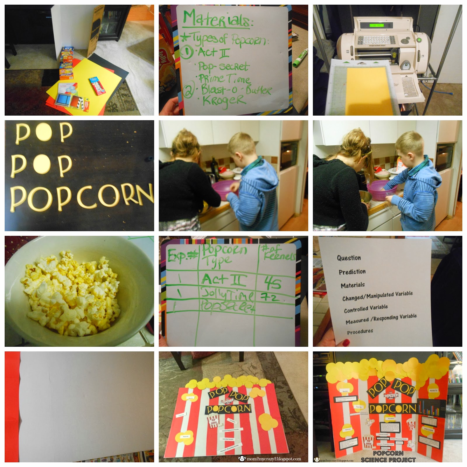 Lower School Science Has First Ever Popcorn Tie-Breaker