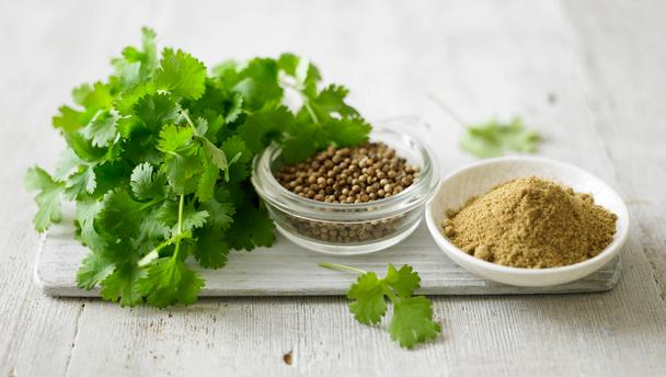 Use of Green or Seed Coriander as an Ayurvedic Medicine Benefits