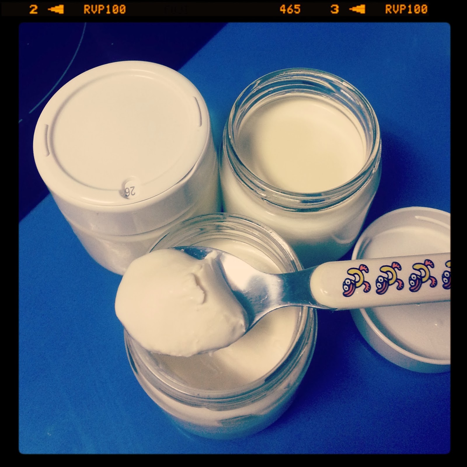 ThermoCocinaMix Yogur griego casero (en yogurtera)