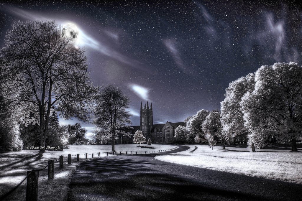 >: Infrared Photography