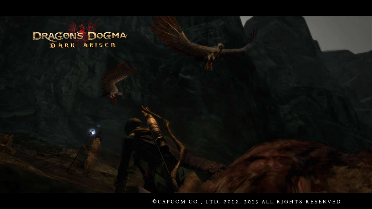 Hole In My Head Post Thoughts Dragon S Dogma Dark Arisen