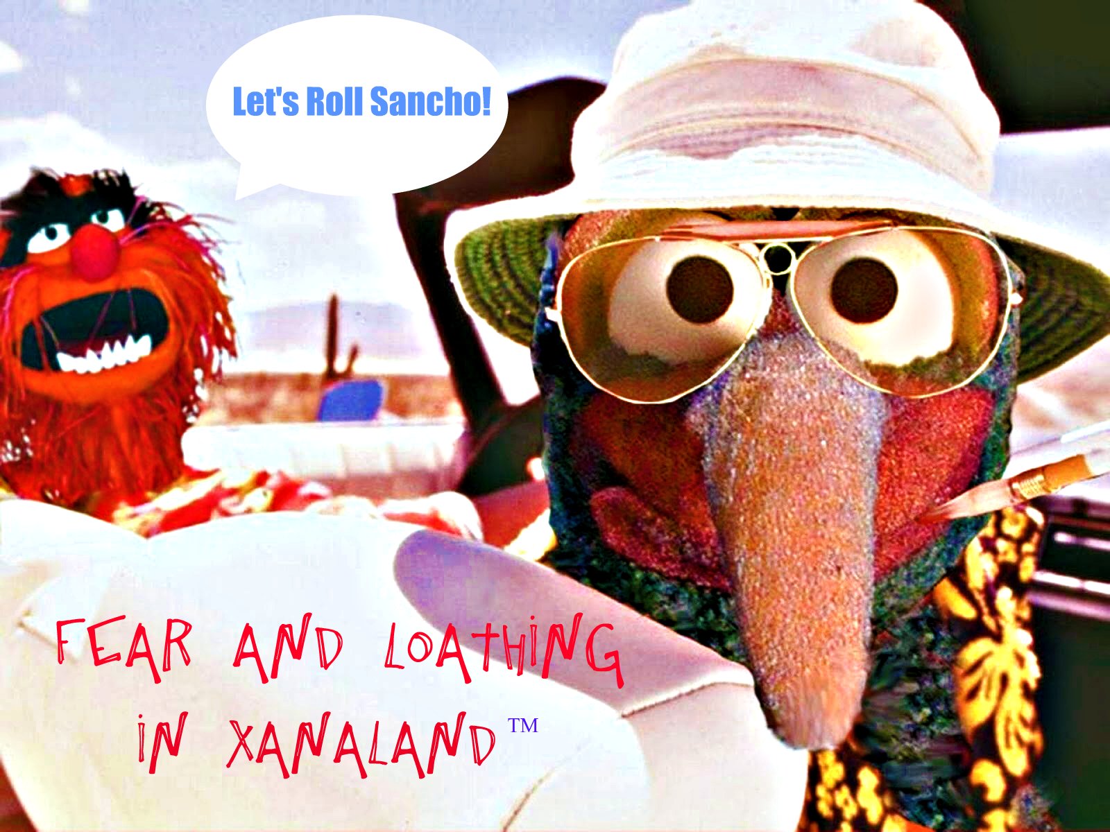 free gonzo movie