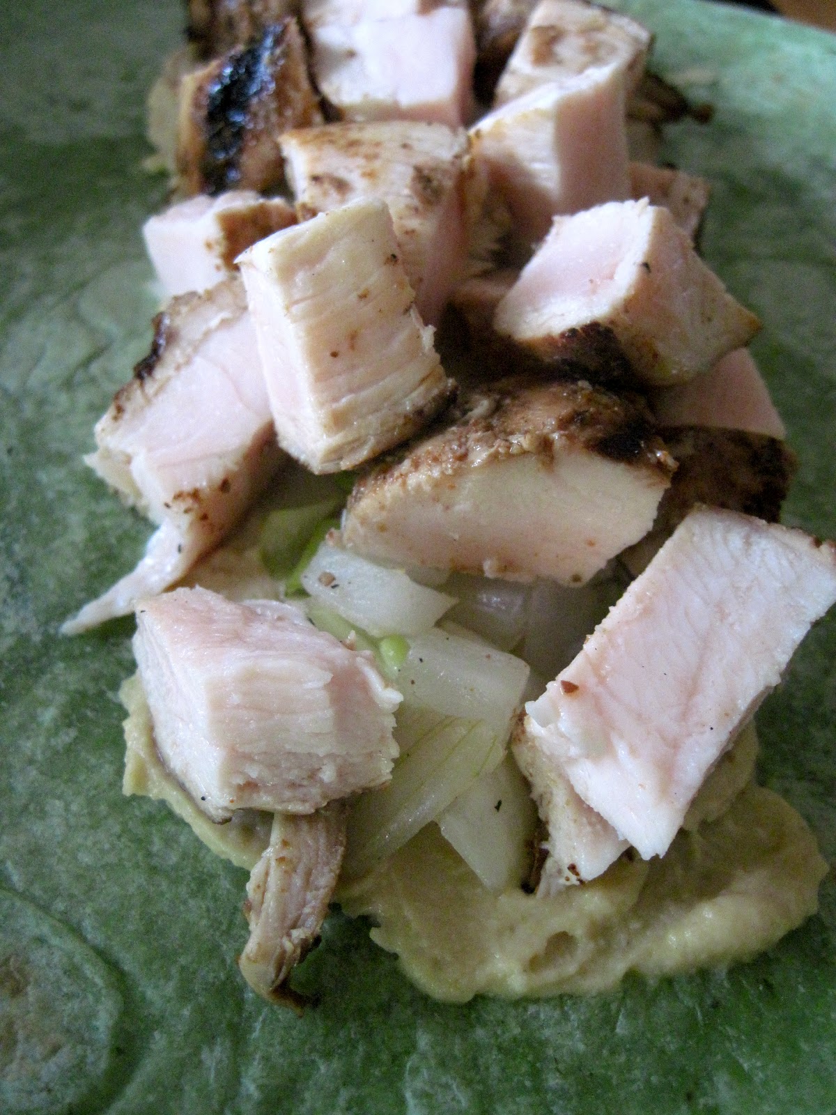 Color Me Caroline Grilled Chicken Hummus Wrap