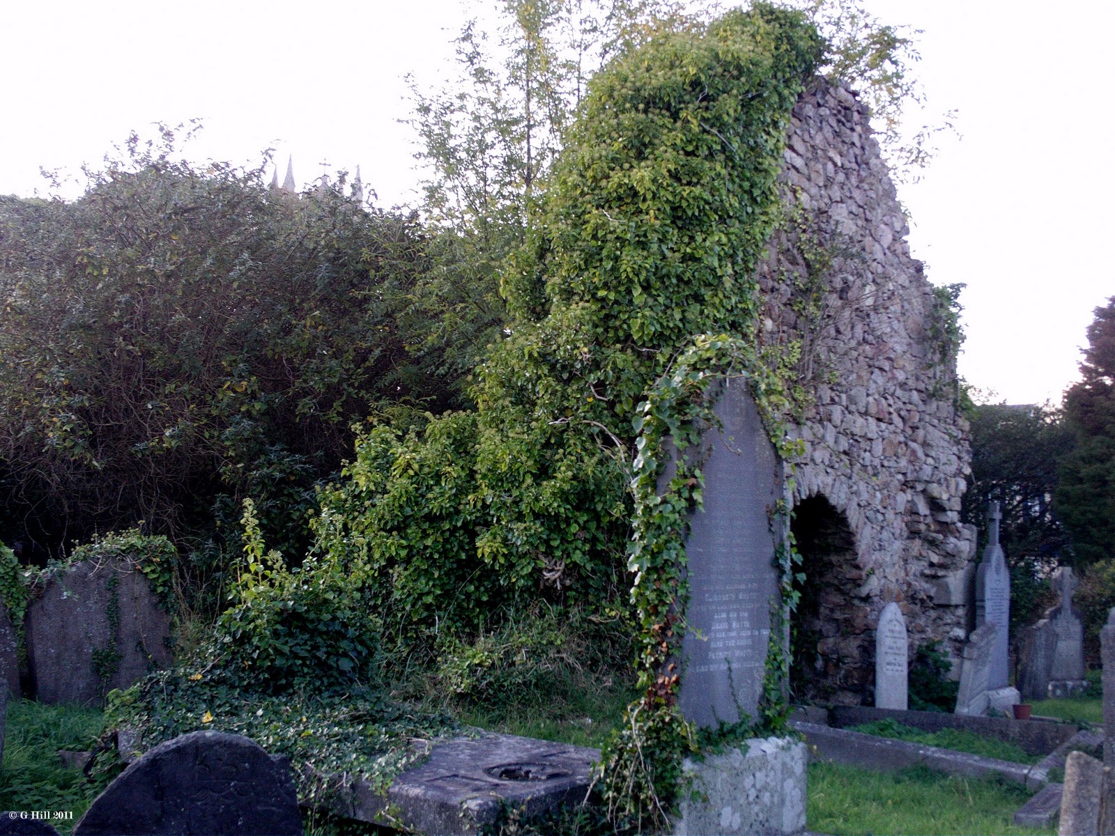 Ireland In Ruins Old Kilmacanogue Church Co Wicklow