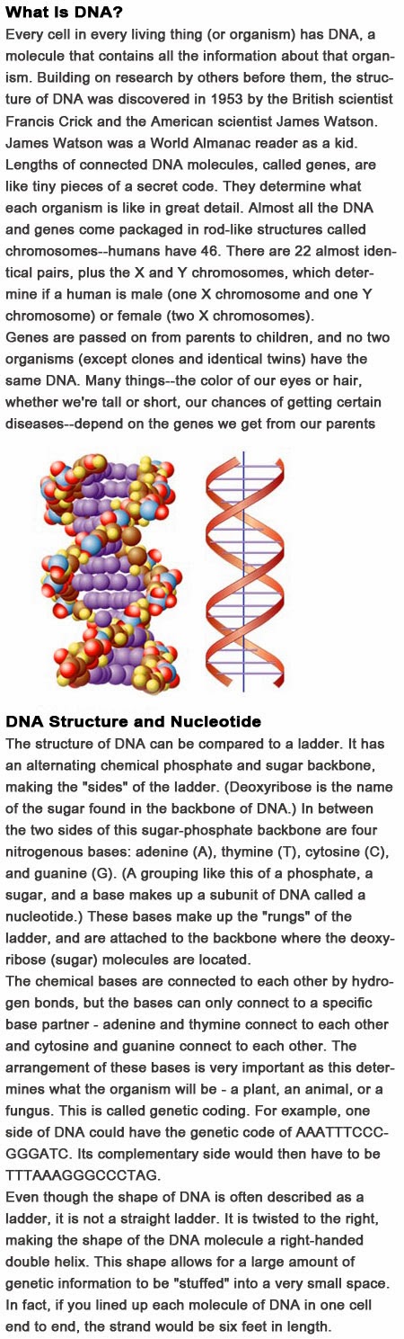 DNA for kids