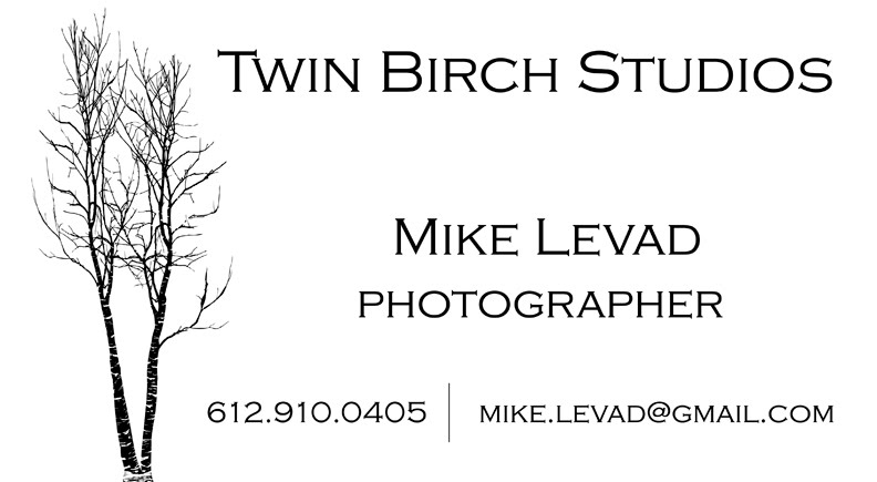 Twin Birch Studios