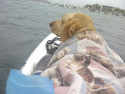 Buttercup out kayaking with me in Small Craft Advisory