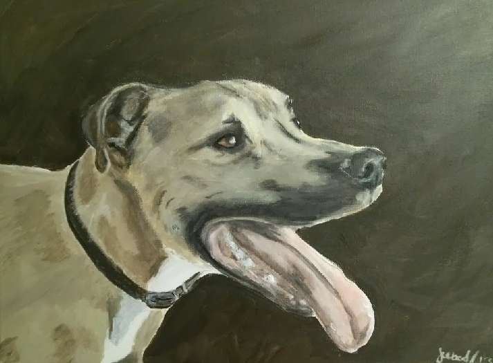 Paws in Paint Pet Portraits Gallery