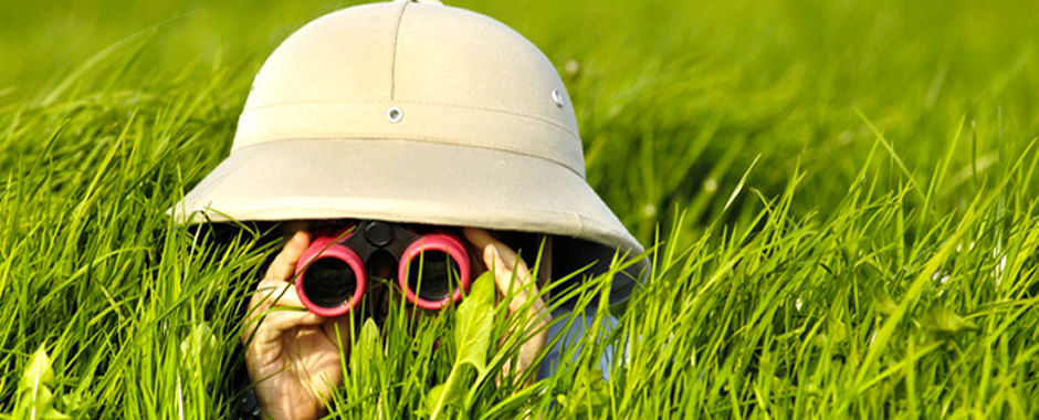 binoculars-kid-grass-940x380.jpg