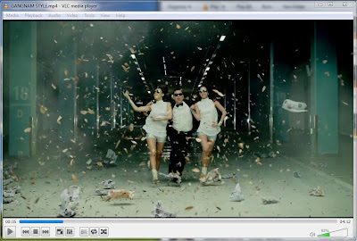 VLC Media Player 2013 Version 2.0.5