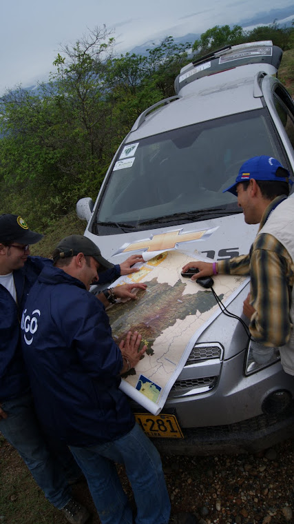 Bosques secos en Venadillo