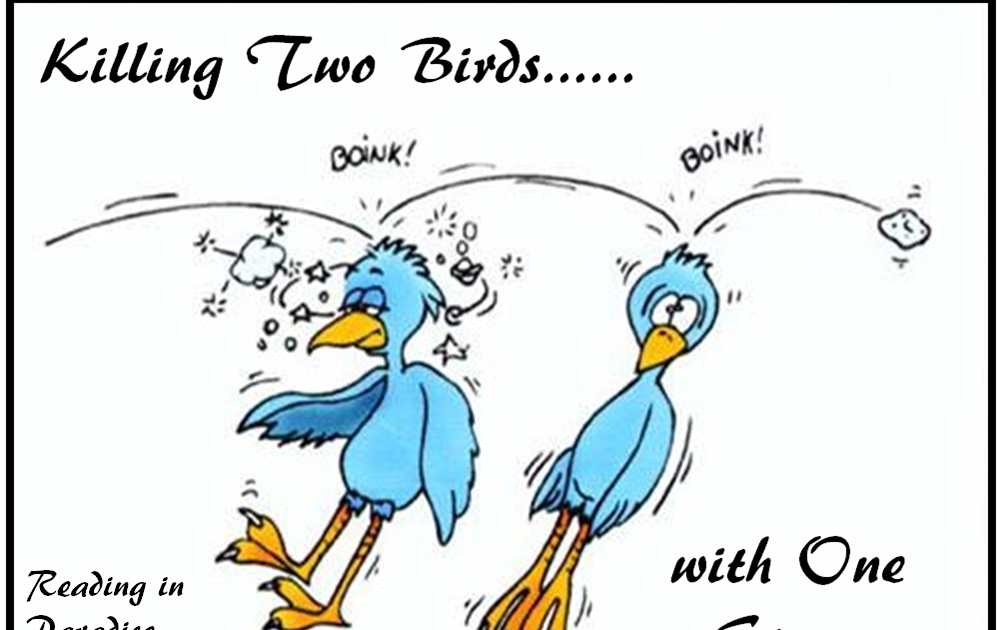 Kill two birds with one stone offensive picture