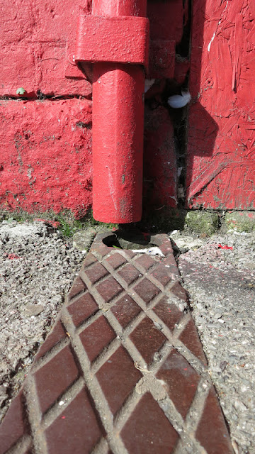 Red downpipe with leaf rising through drain.