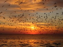 Las vacaciones de invierno se viven en el Partido de La Costa 2 VACAS+EN+LA+COSTA