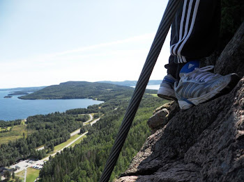 Skuleberget, Vita leden 2011