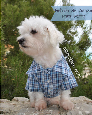 patron camisa para perro patron camisa para perro