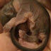 Il trouve ce bébé sur un trottoir brulant, ce qu'il fait avec est inimaginable!
