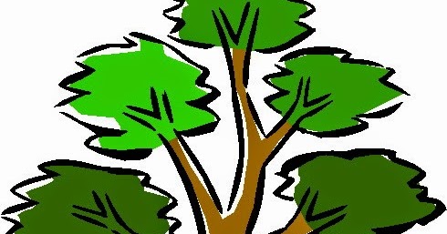 ® Gifs y Fondos Paz enla Tormenta ®: IMÁGENES DE BONSAI