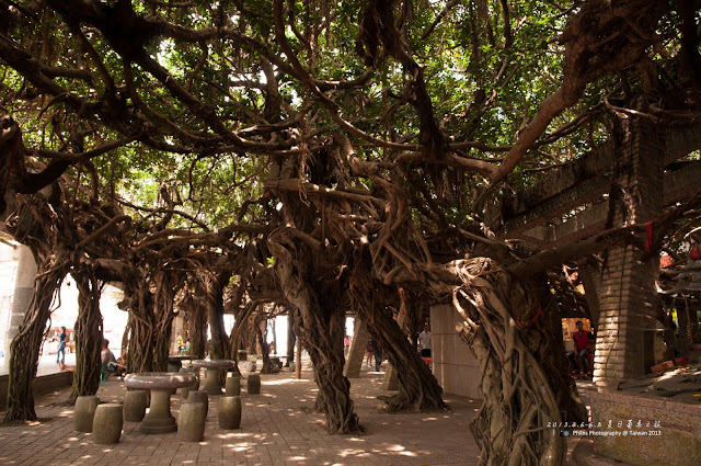 [澎湖] 夏戀菊島澎湖遊記