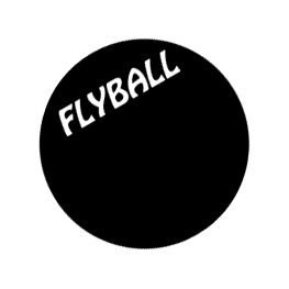 FlyBall!