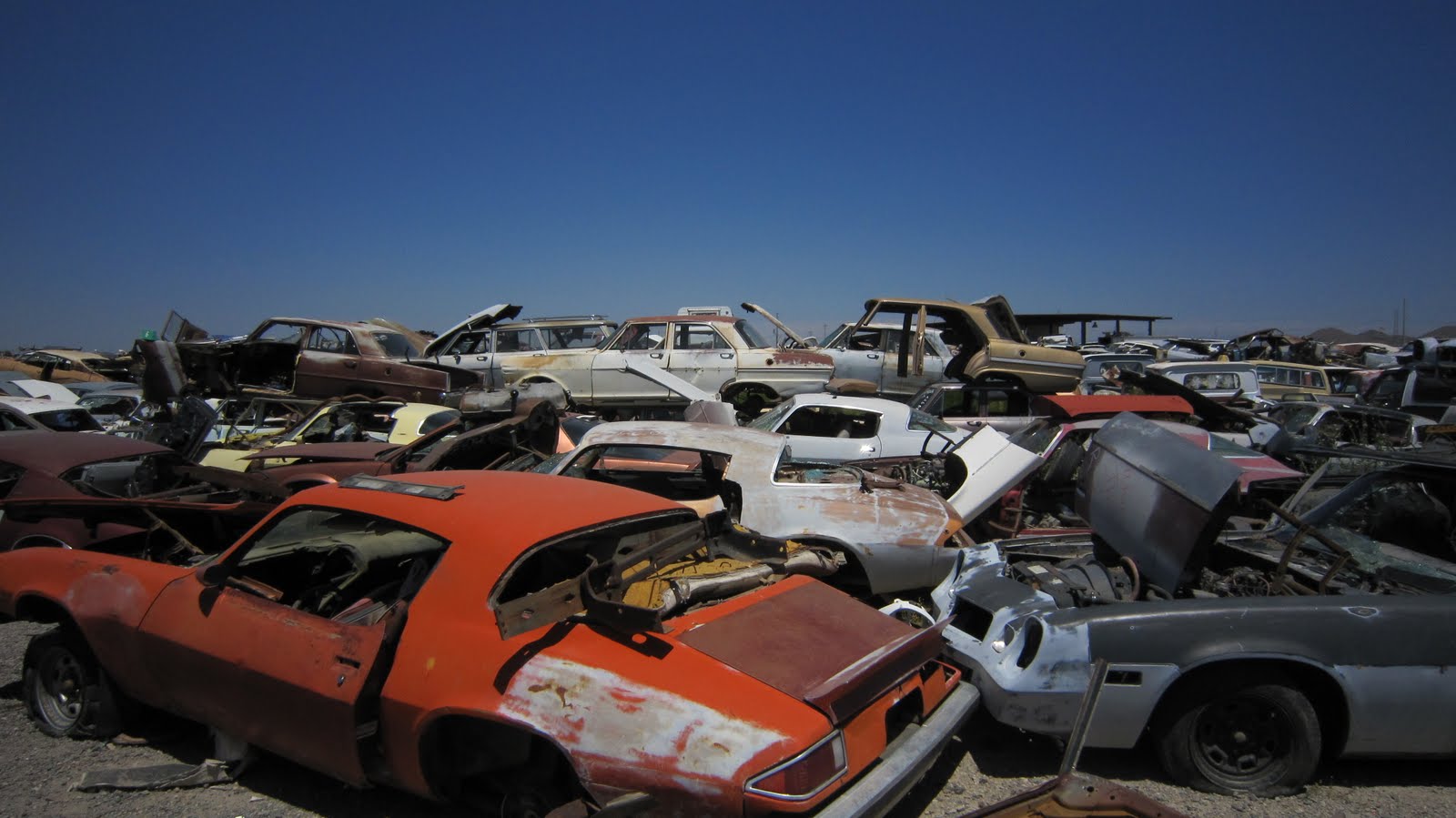 Wegi`s World Visiting DVAP (Desert Valley Auto Parts)