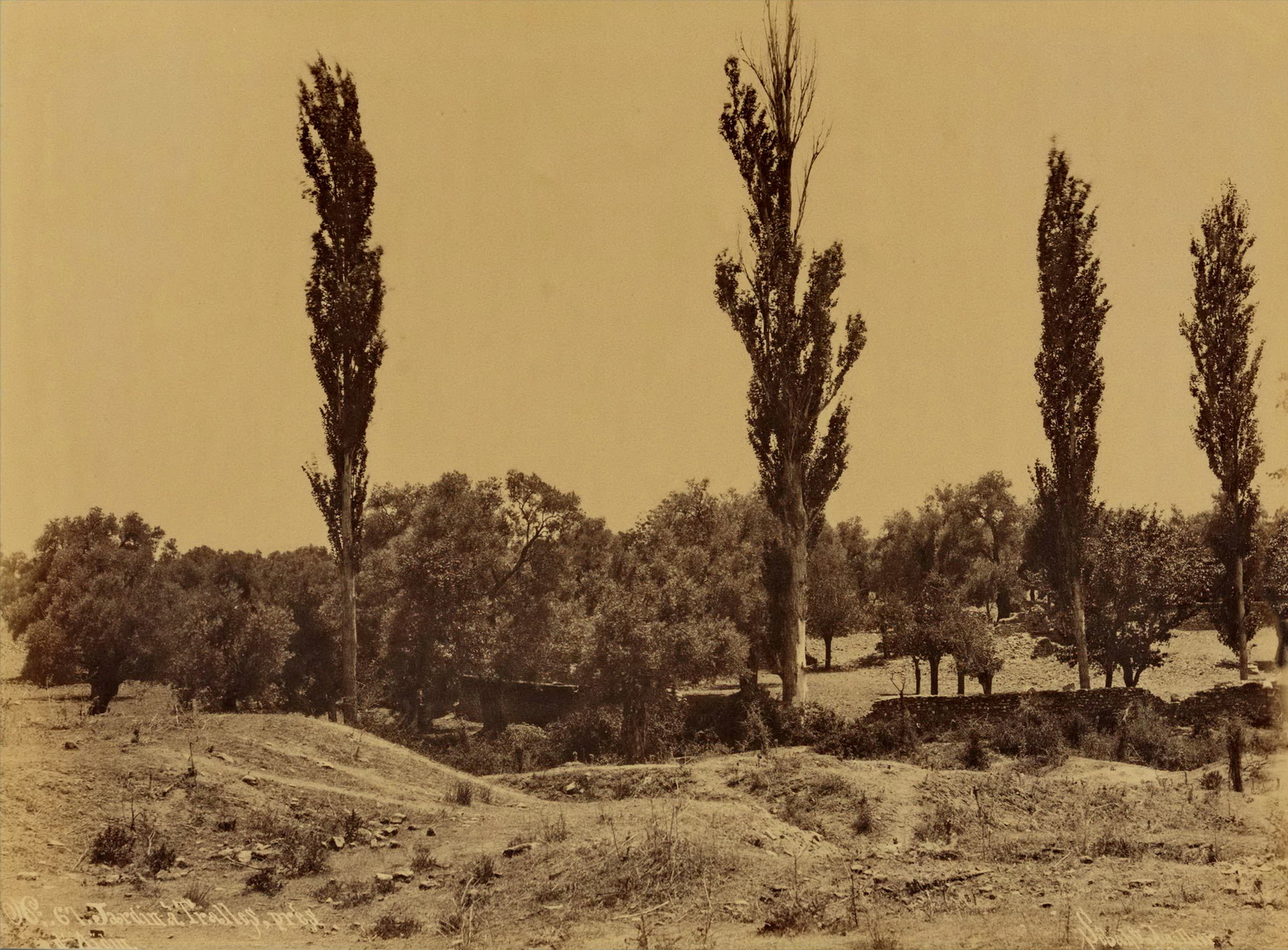 Pantalone E Dottore Januar 2018