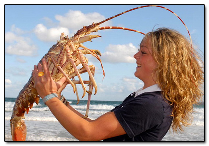 David Foster Wallace Consider the Lobster