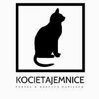 Kocie Tajemnice