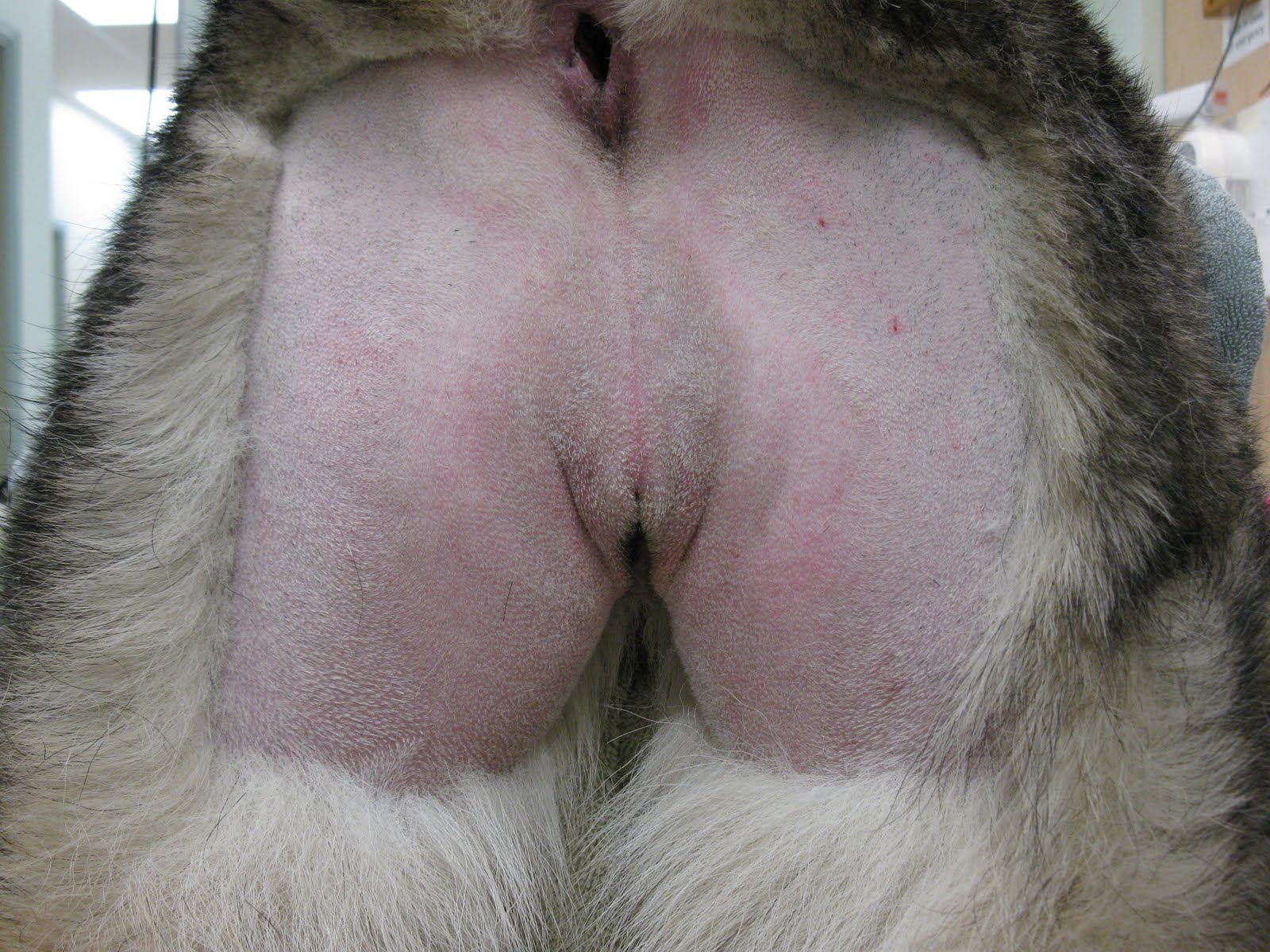 Фильмы Женская Течка Плоть Вибратор