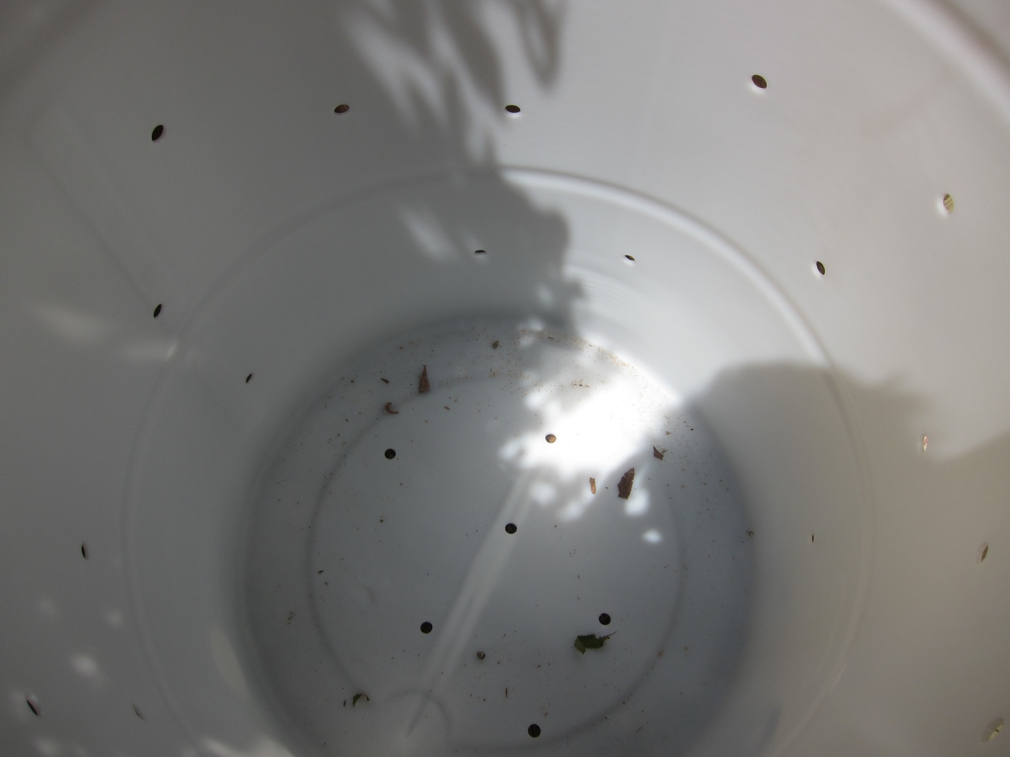 The Cat Poop Portal Litter Box Composting, Installment 1 Root Simple