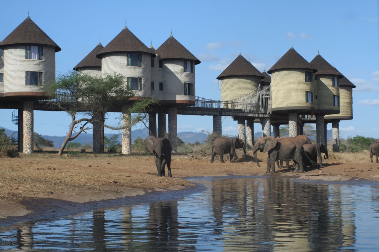 ellergy UNUSUAL HOTEL 4 KENYA'S MAGNIFICENT SAROVA SALT LICK GAME LODGE